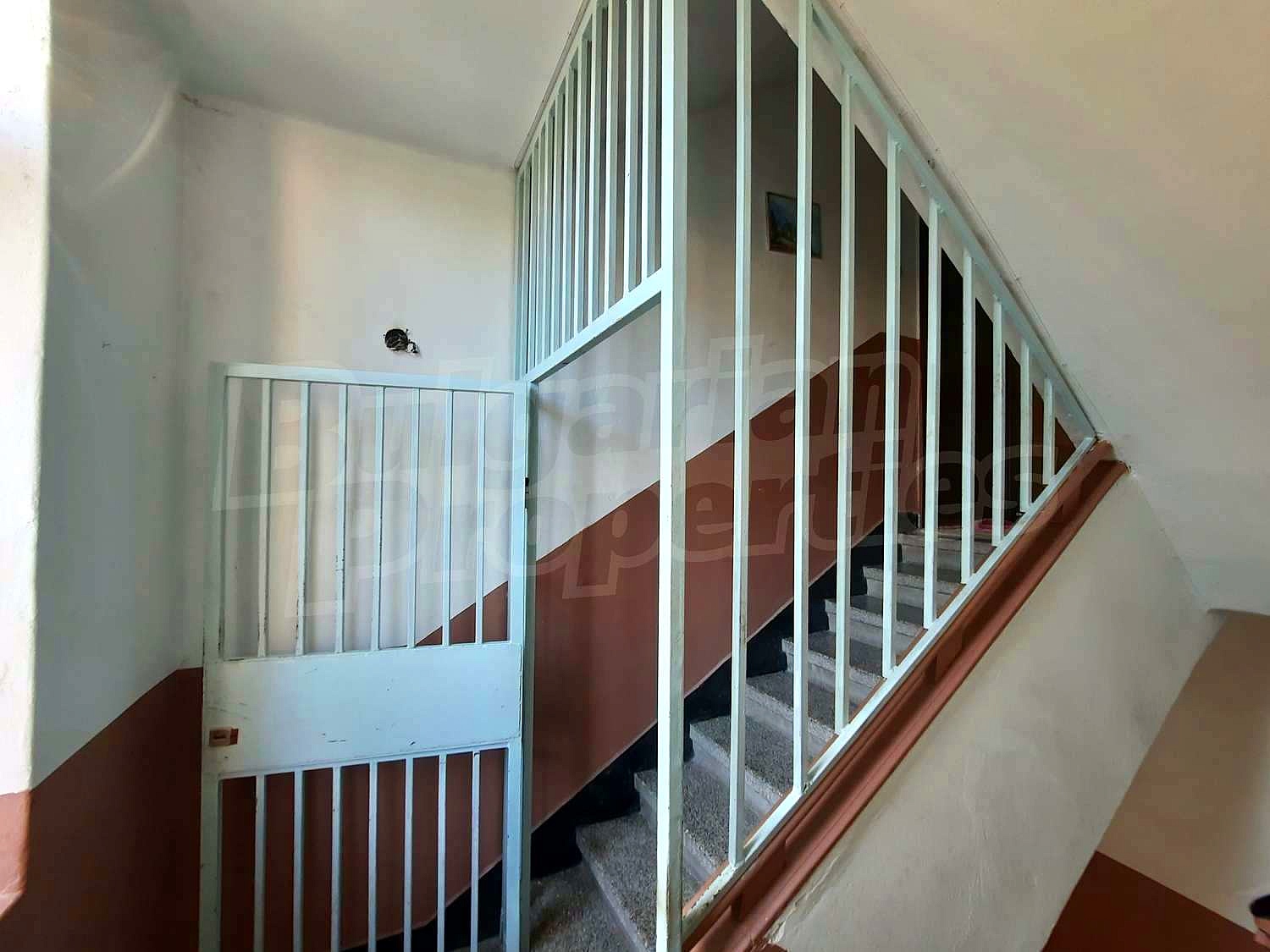 Gallery Picture 13