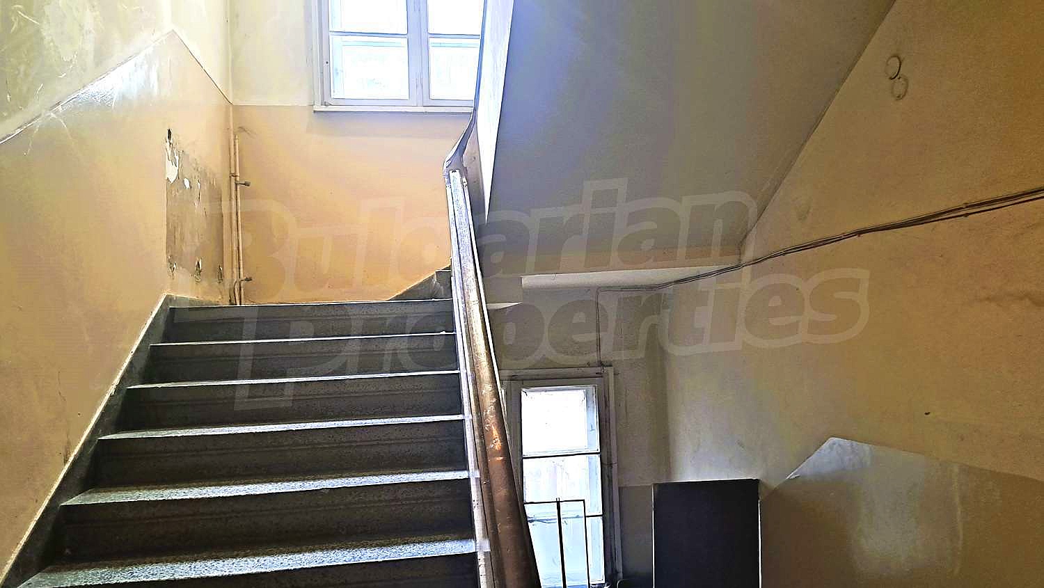 Gallery Picture 12
