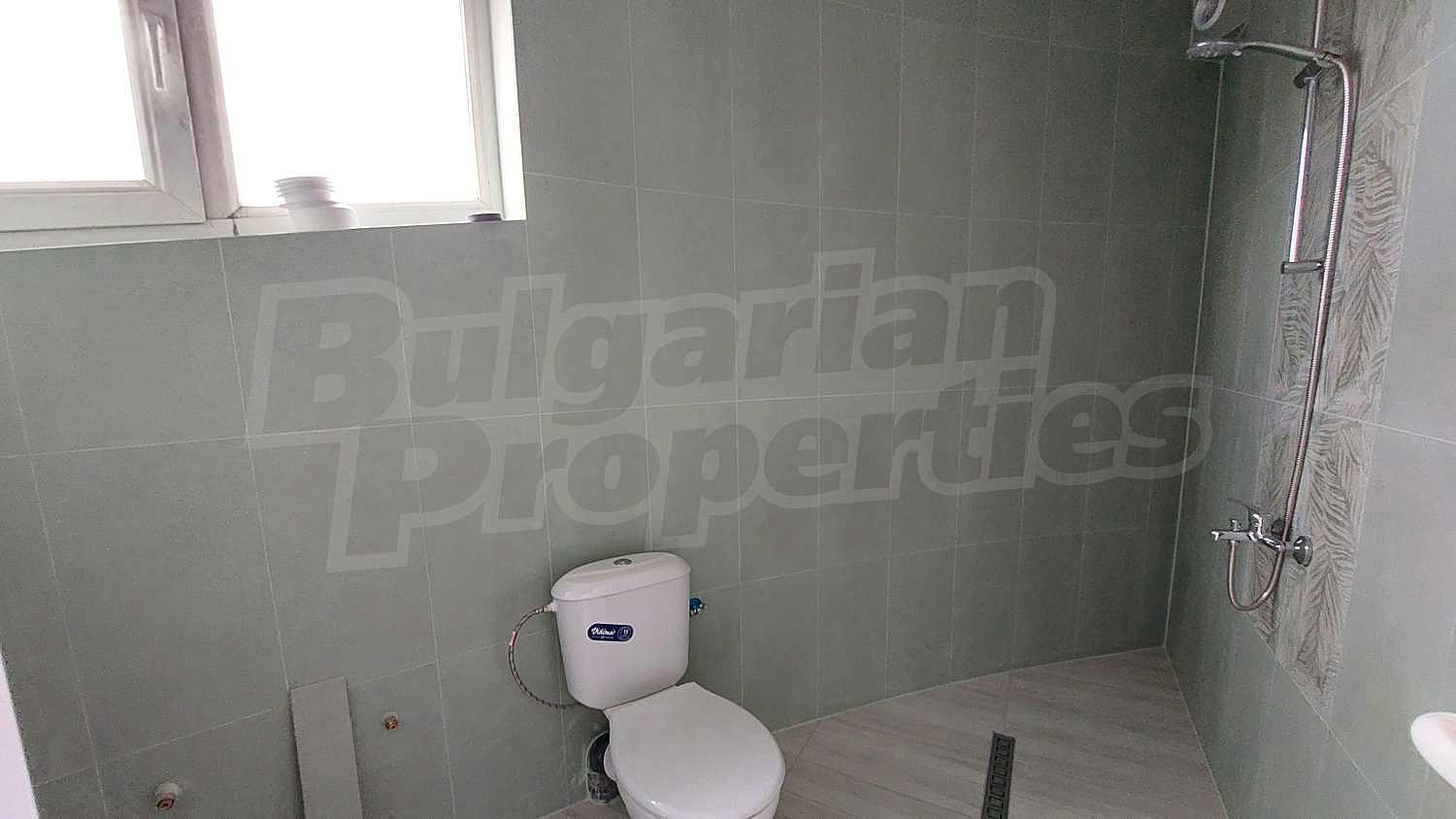 Gallery Picture 29