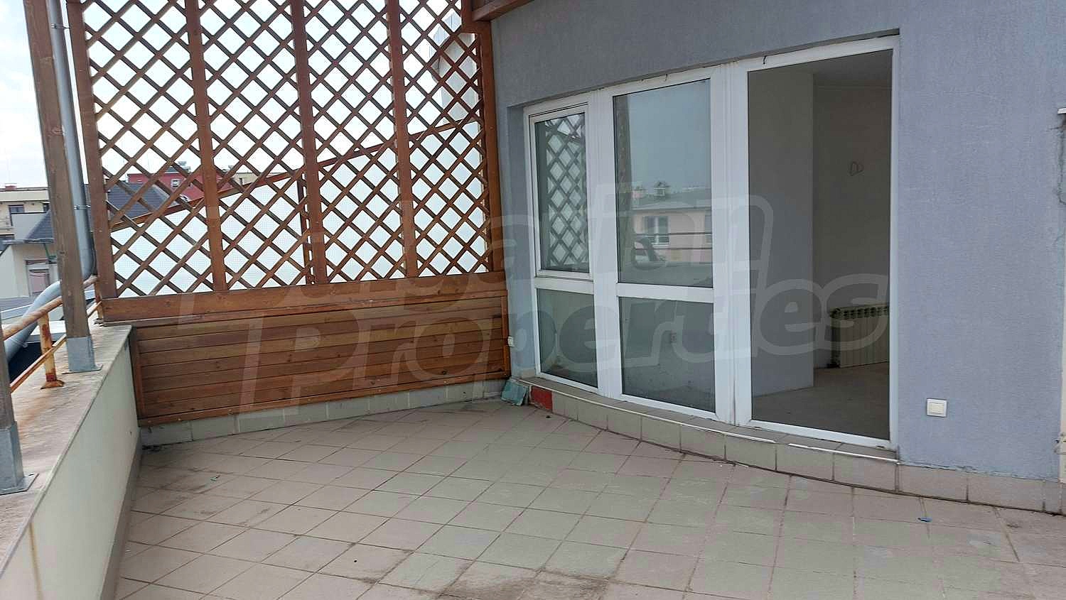 Gallery Picture 26