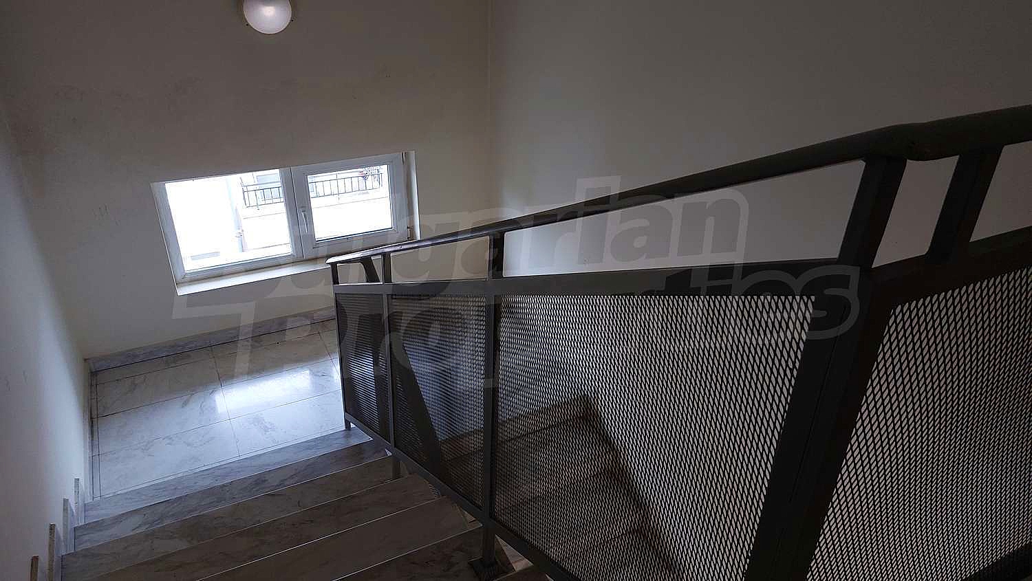 Gallery Picture 33