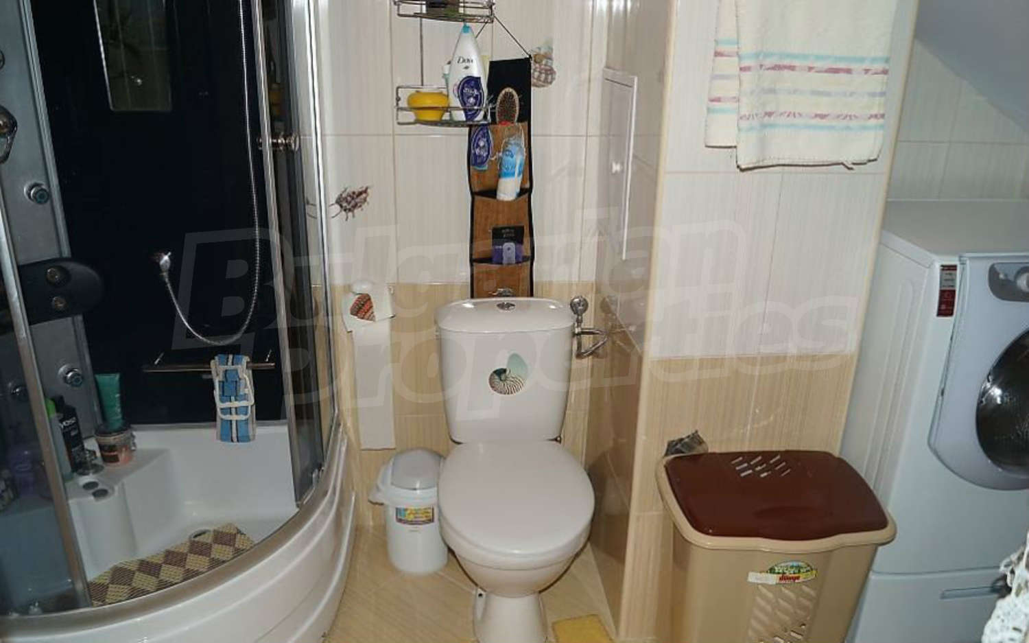 Gallery Picture 13