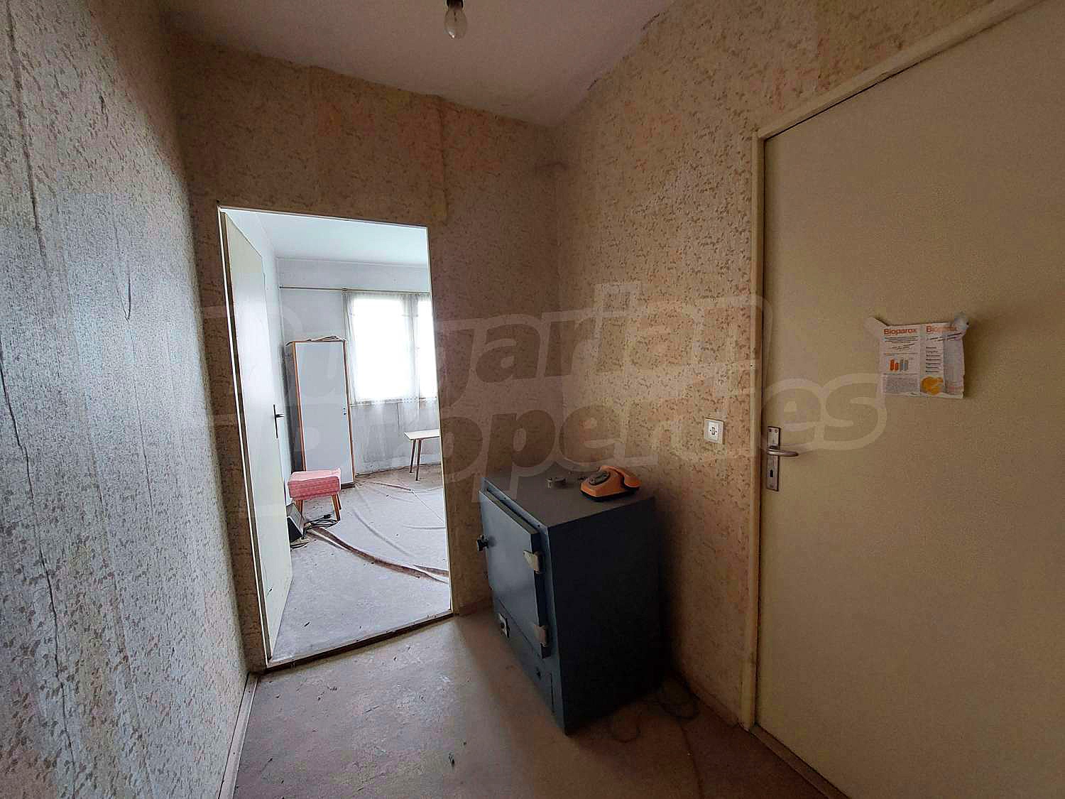 Gallery Picture 11