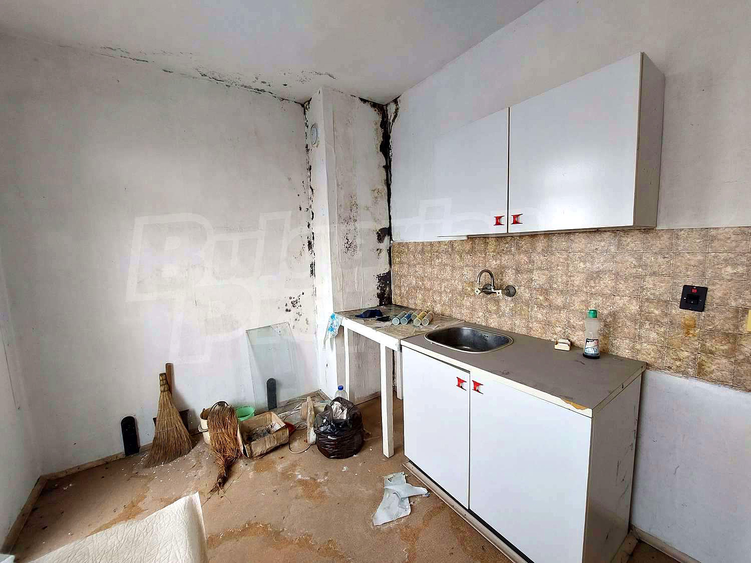 Gallery Picture 8