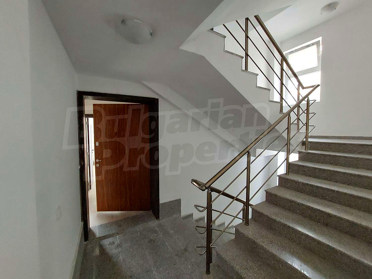 Gallery Picture 12
