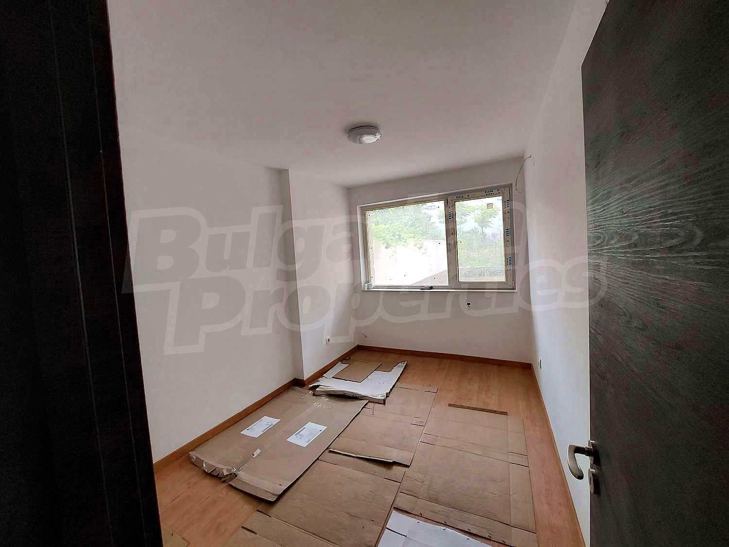 Gallery Picture 19