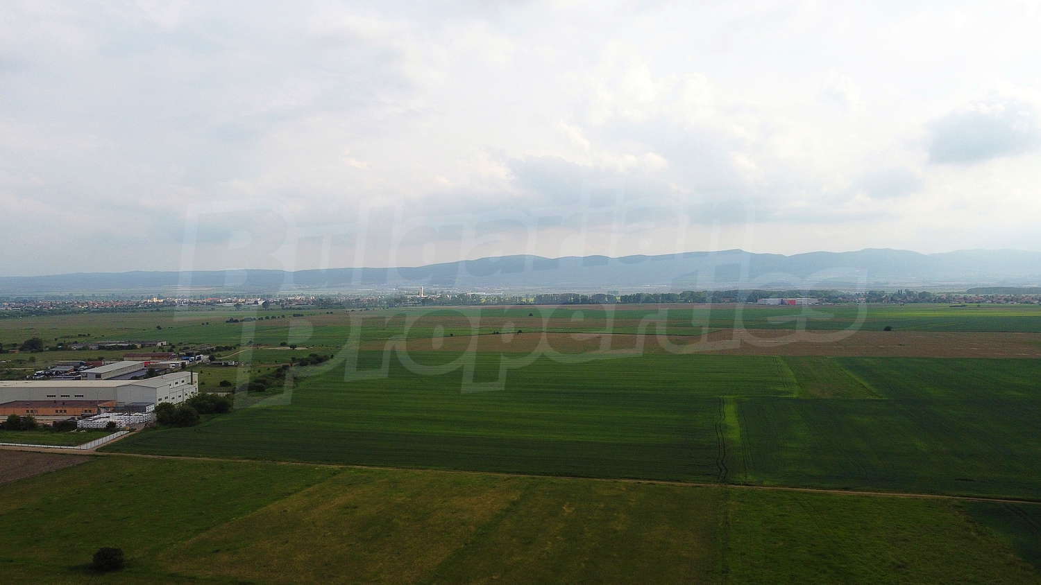 Gallery Picture 10