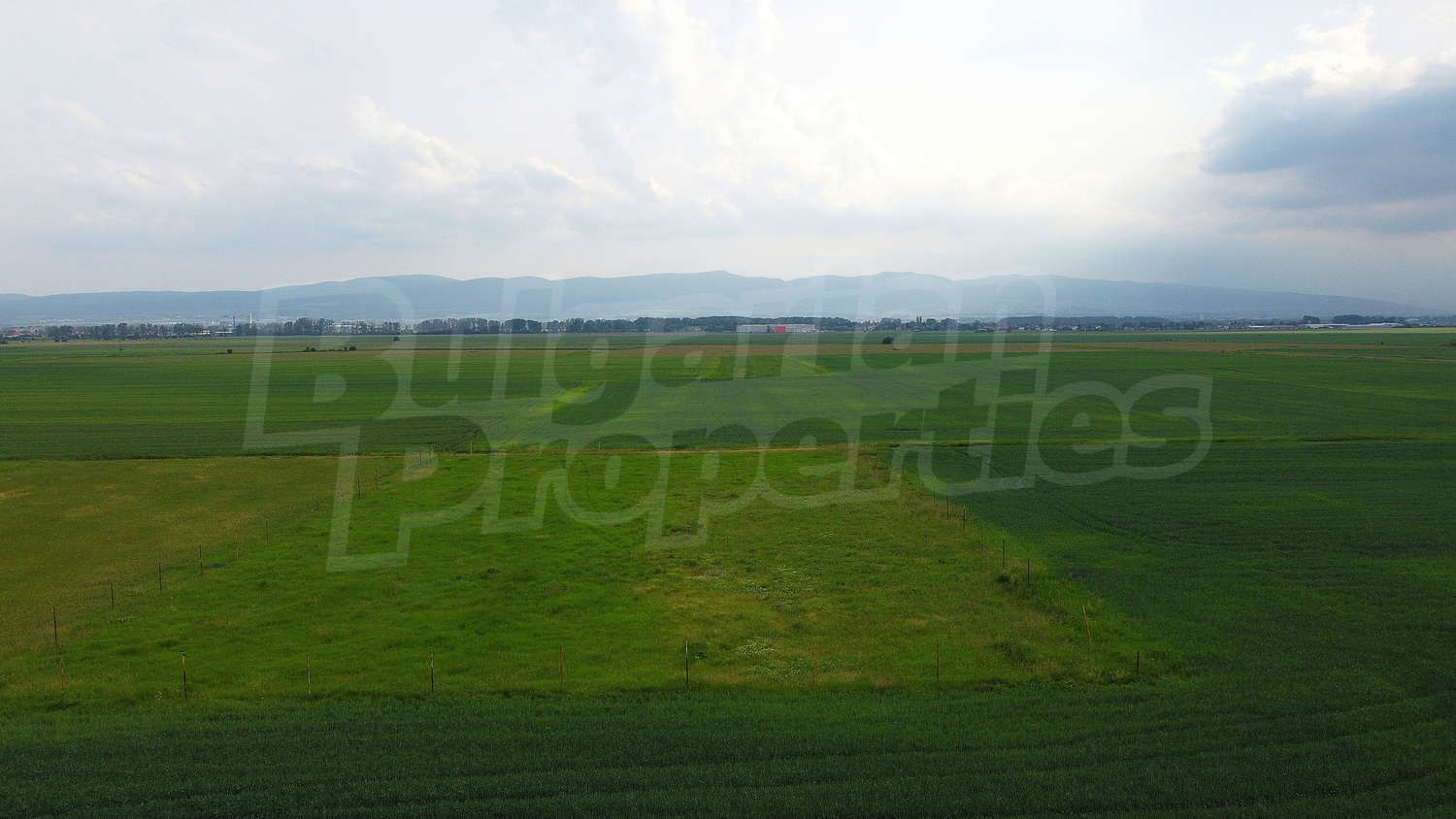 Gallery Picture 8