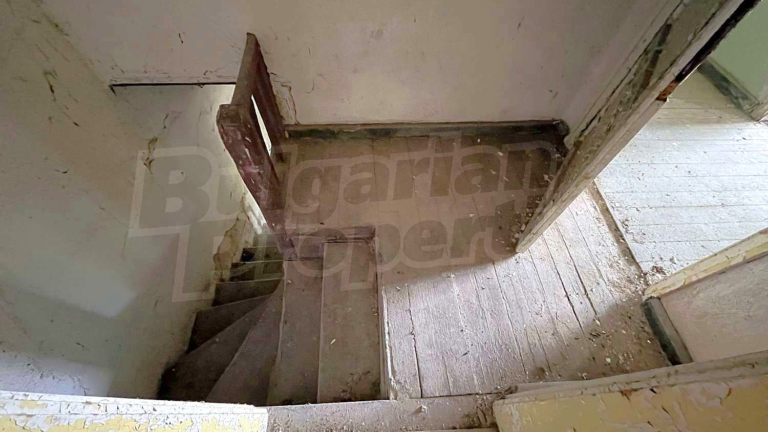 Gallery Picture 18