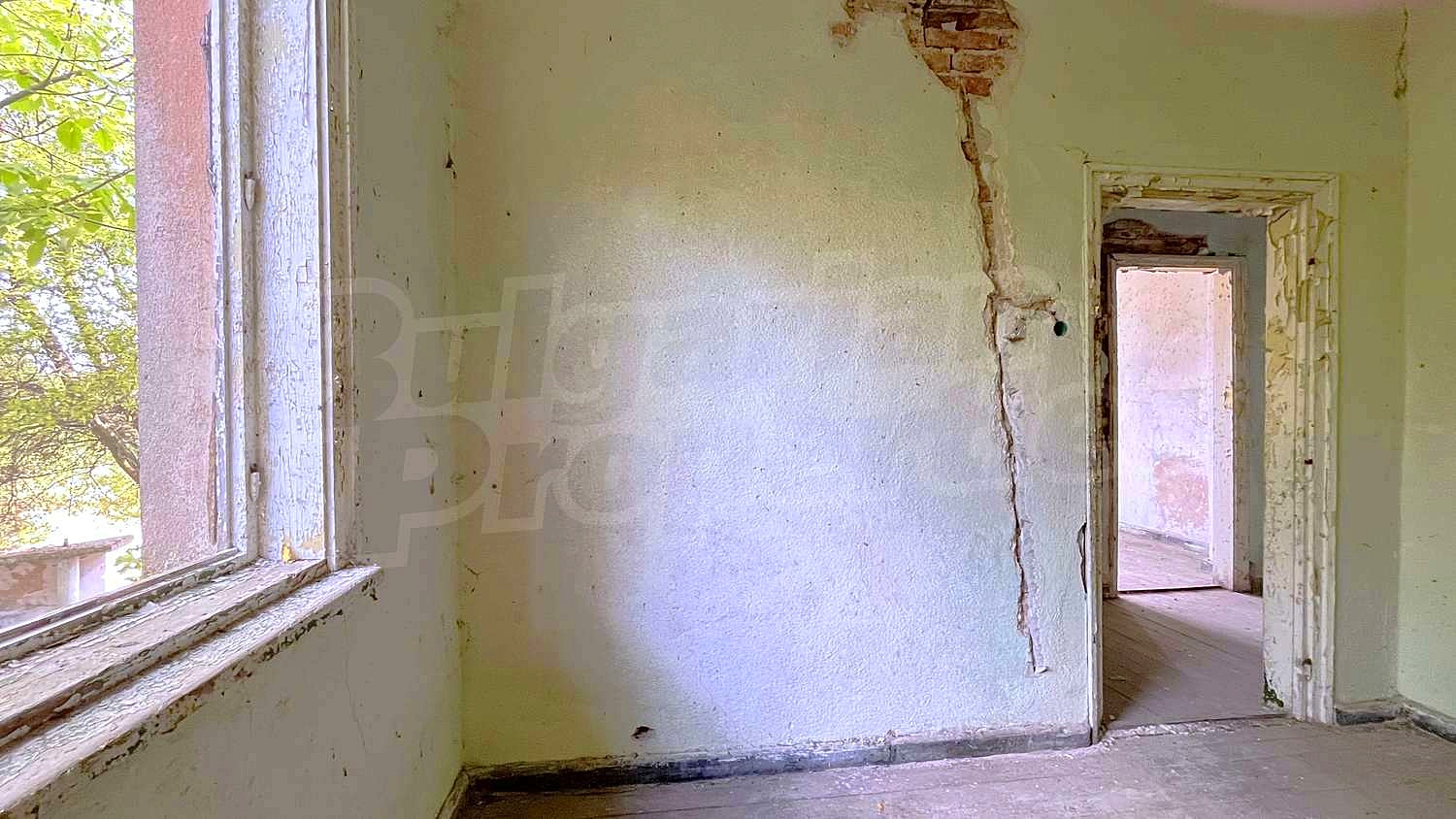 Gallery Picture 17