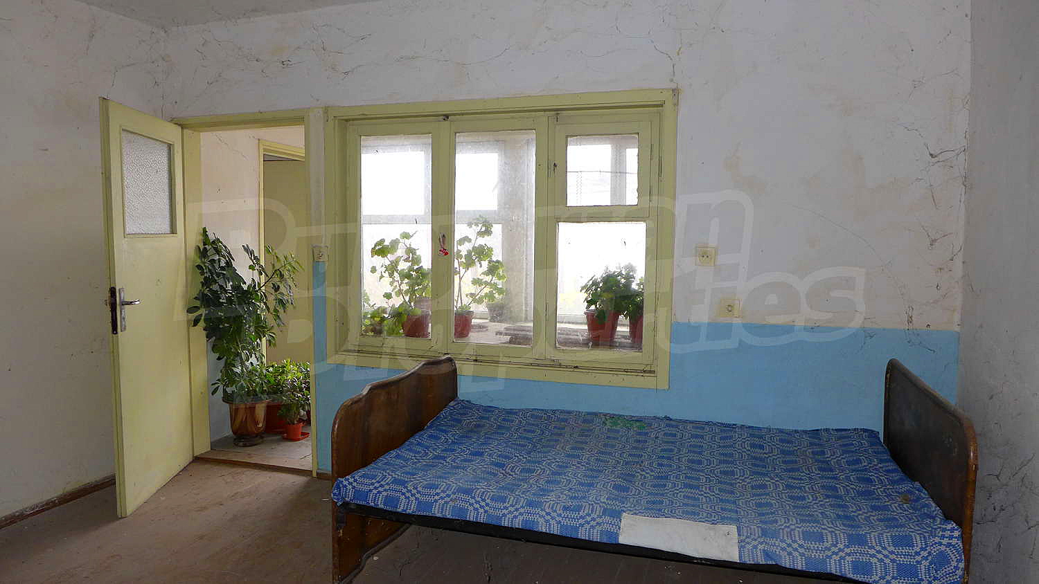 Gallery Picture 10