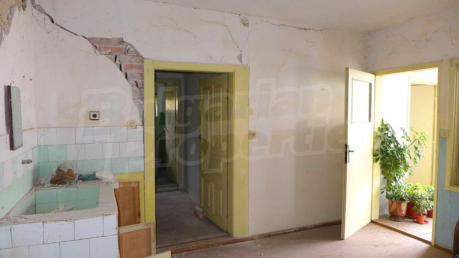 Gallery Picture 11