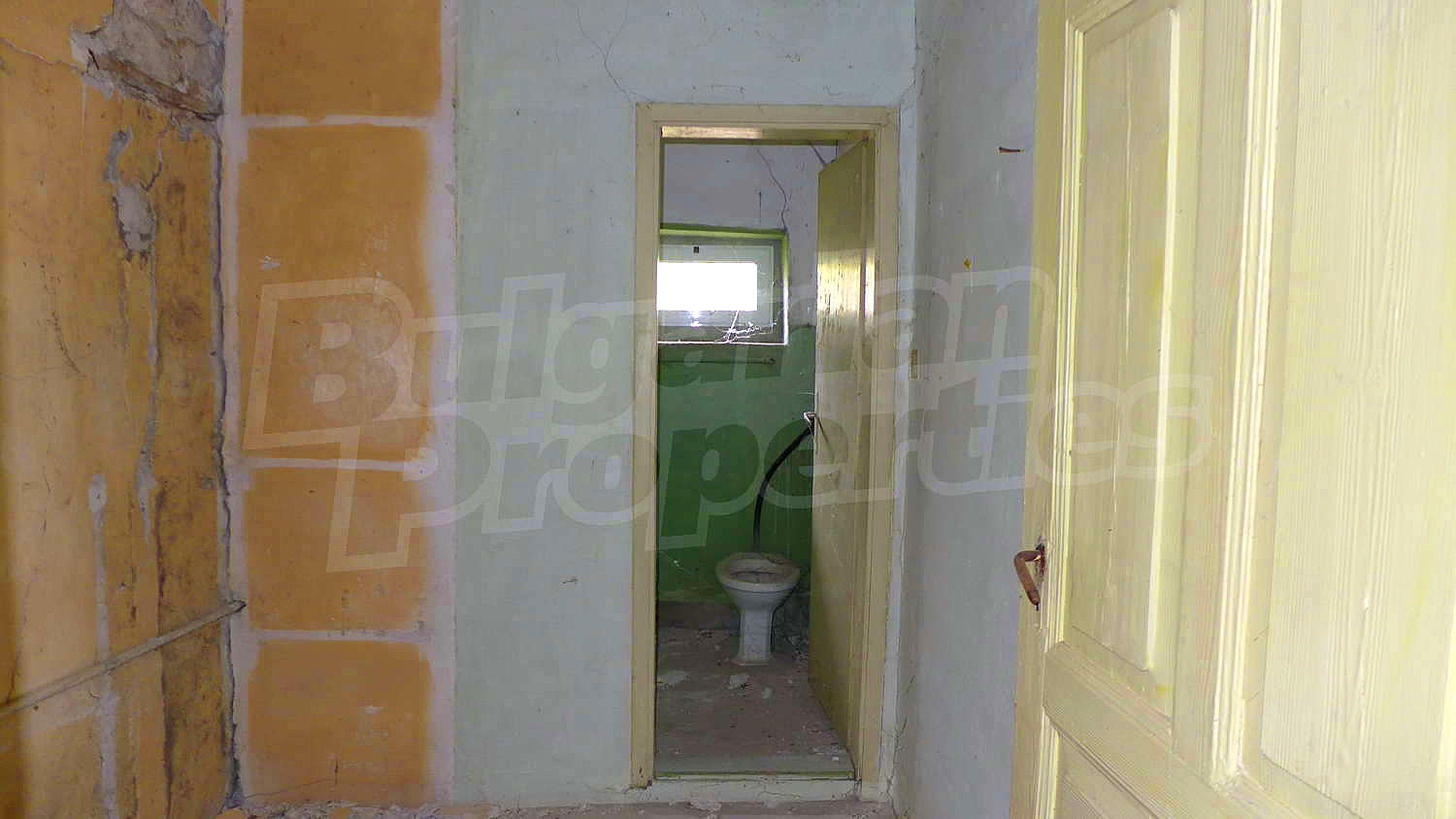 Gallery Picture 12