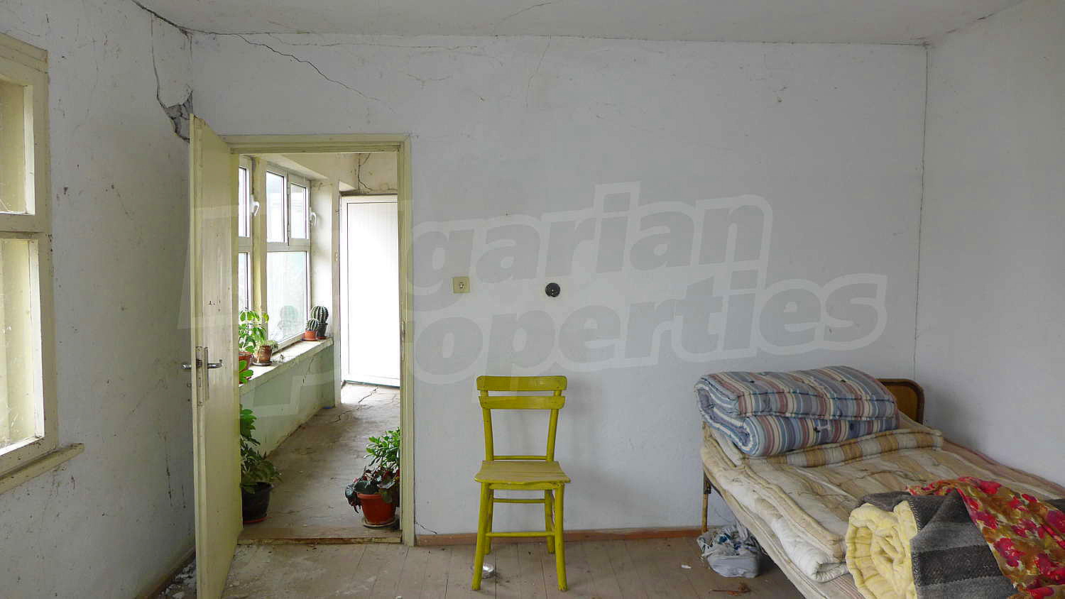 Gallery Picture 15