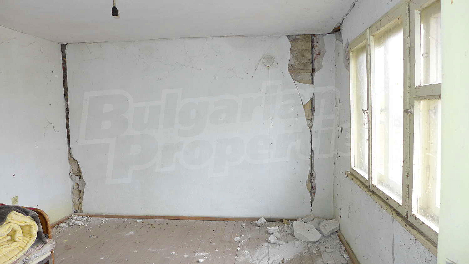 Gallery Picture 16