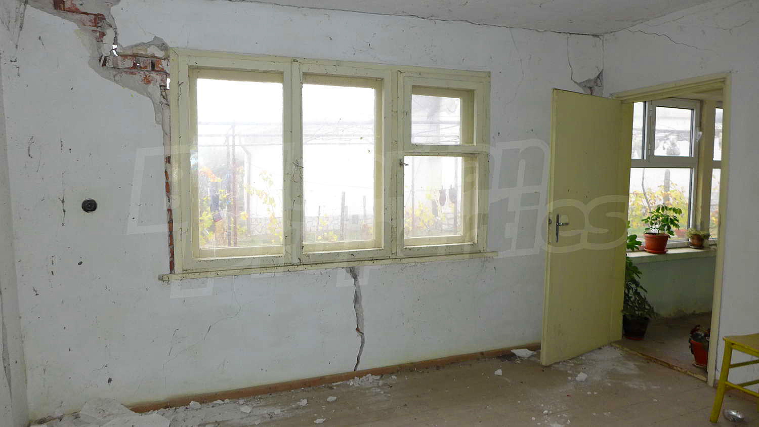 Gallery Picture 17