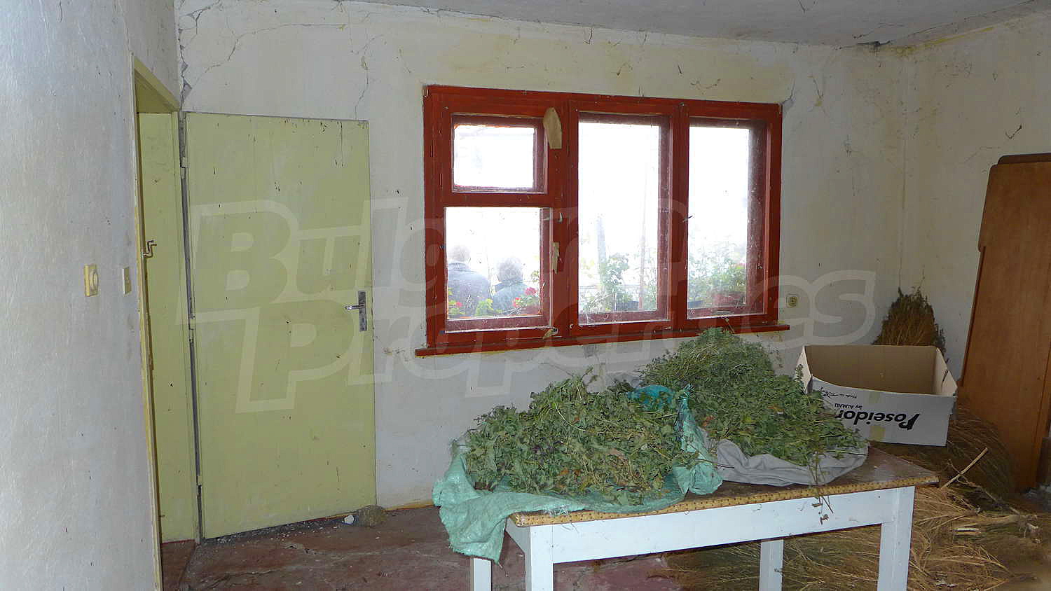 Gallery Picture 18