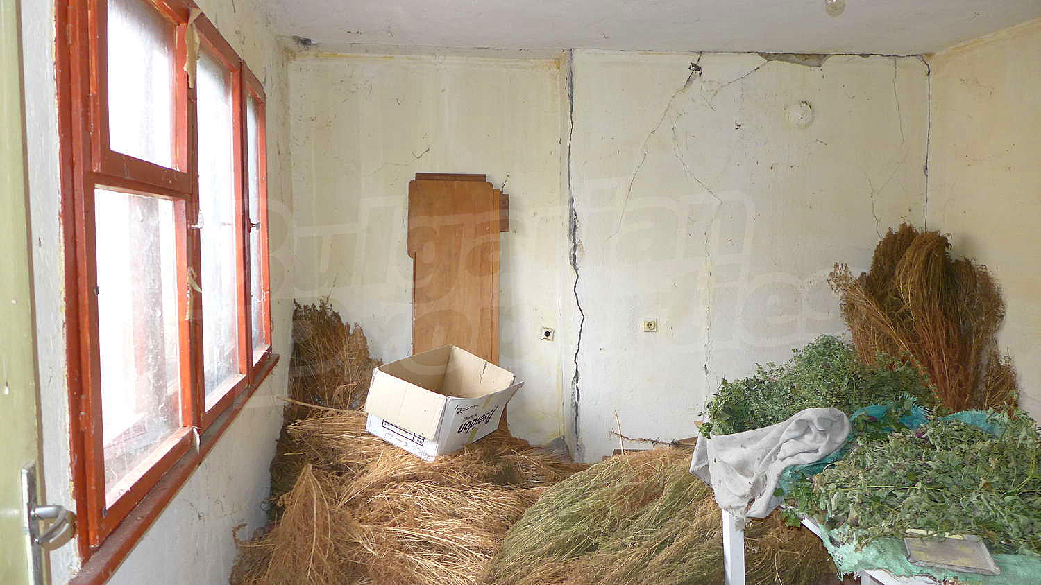 Gallery Picture 19