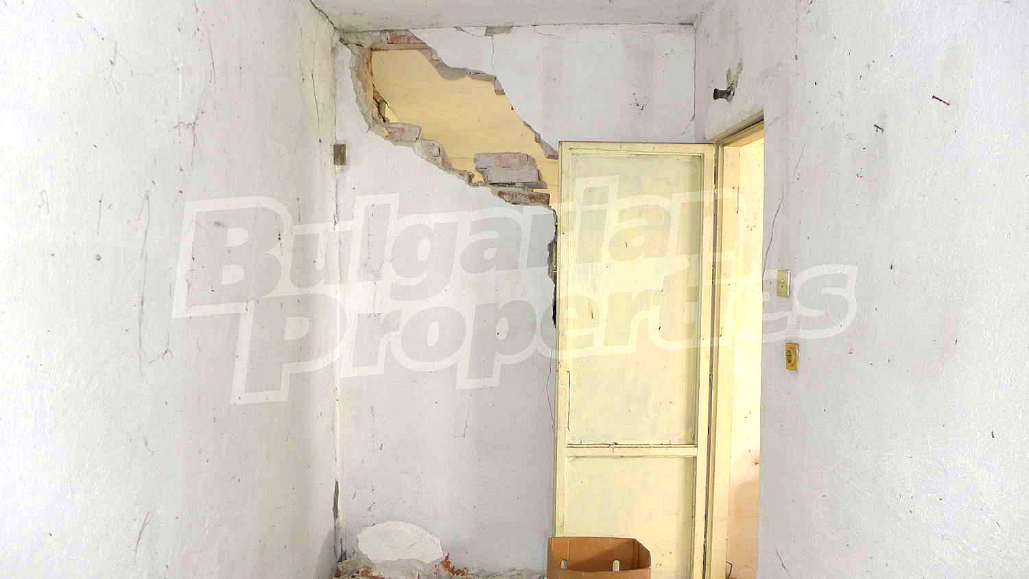Gallery Picture 21