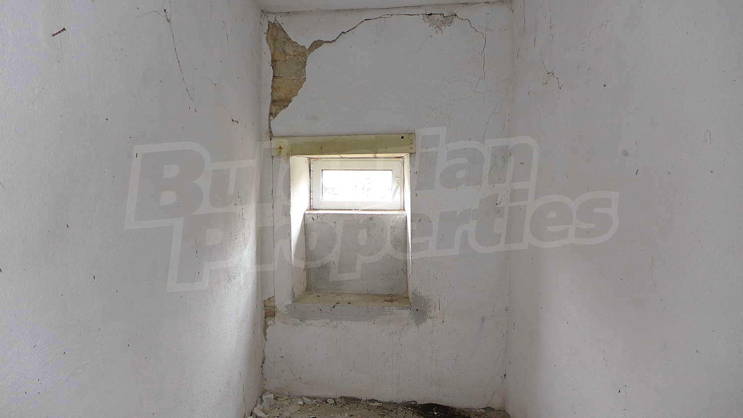Gallery Picture 22