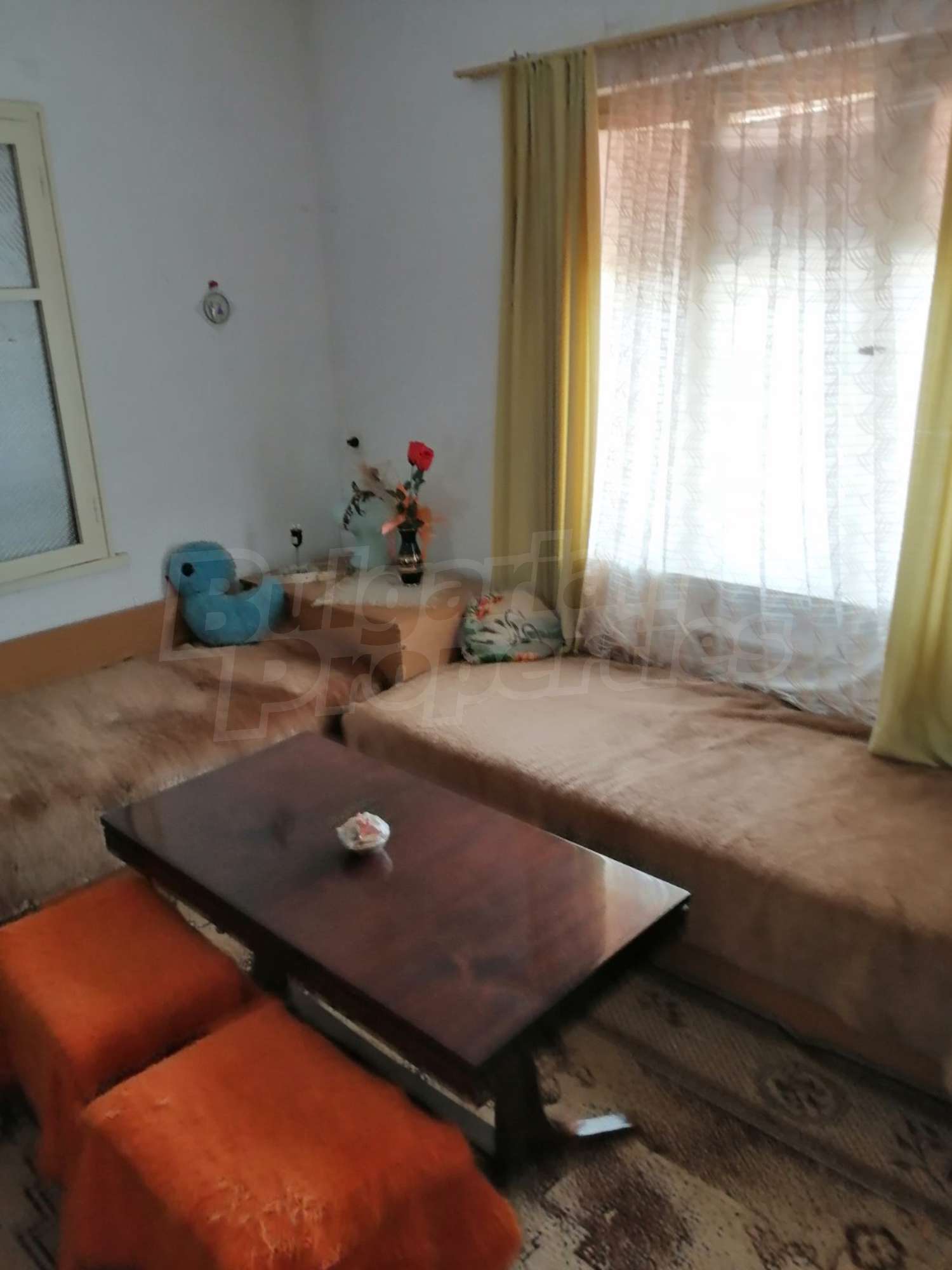 Gallery Picture 11