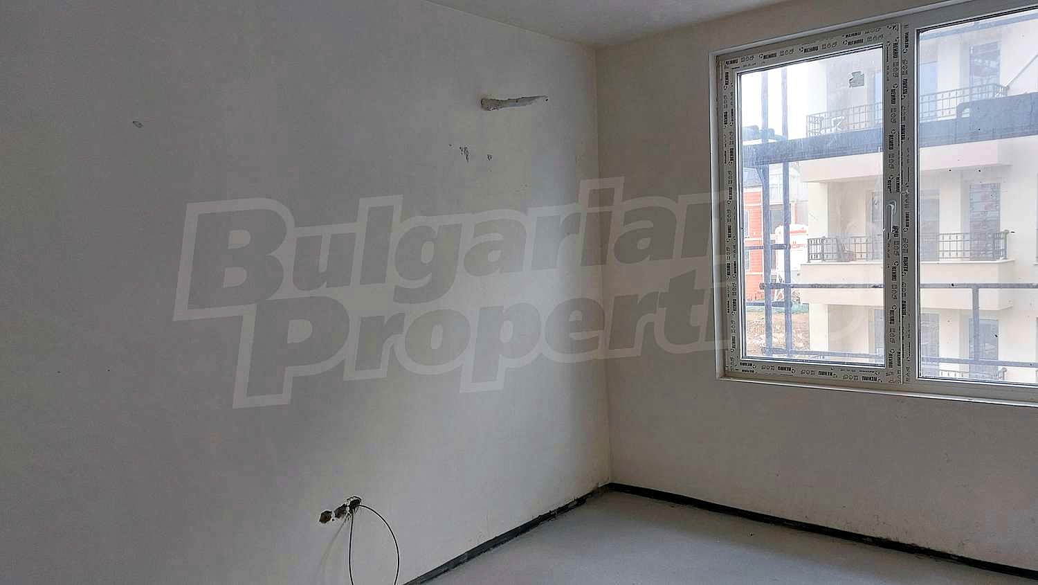 Gallery Picture 15