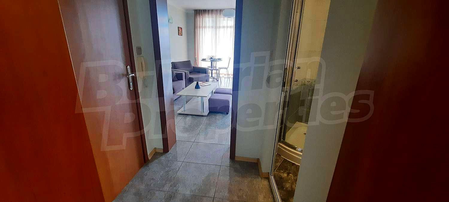 Gallery Picture 10