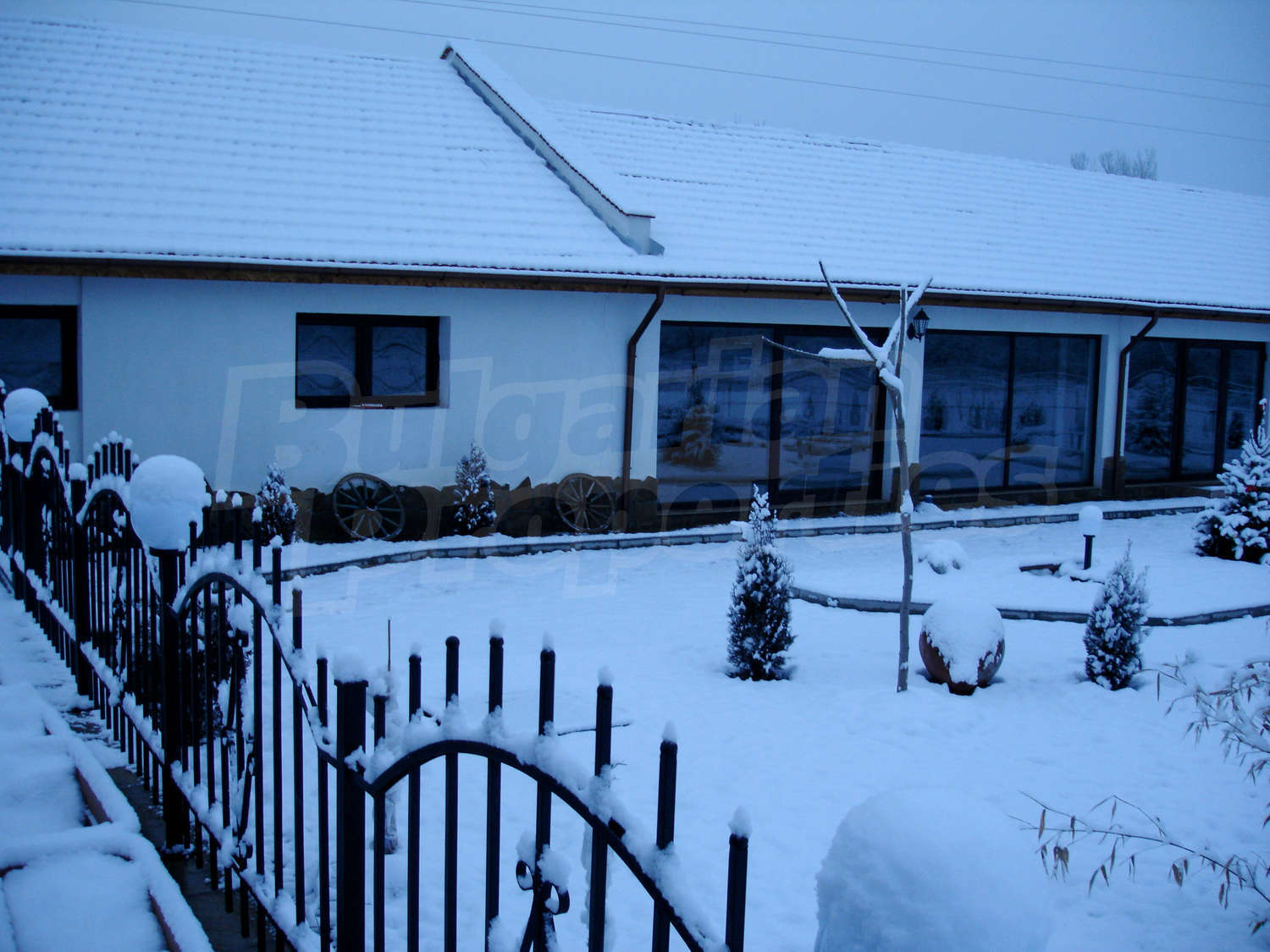 Gallery Picture 12