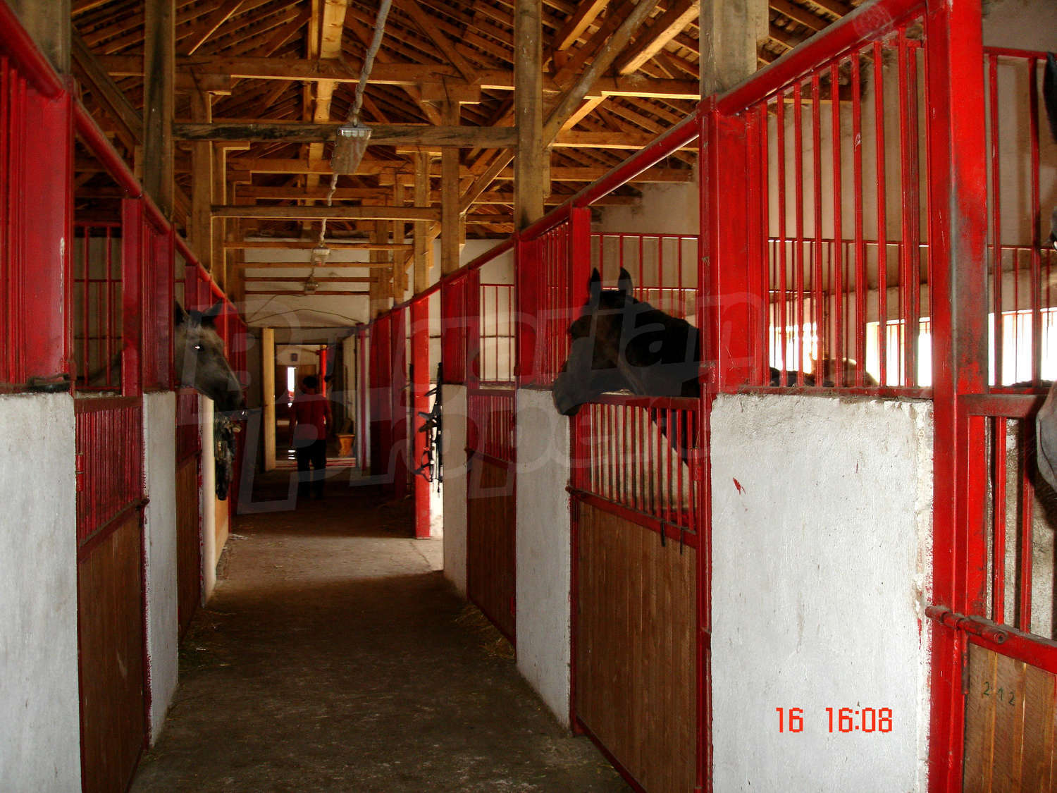 Gallery Picture 23