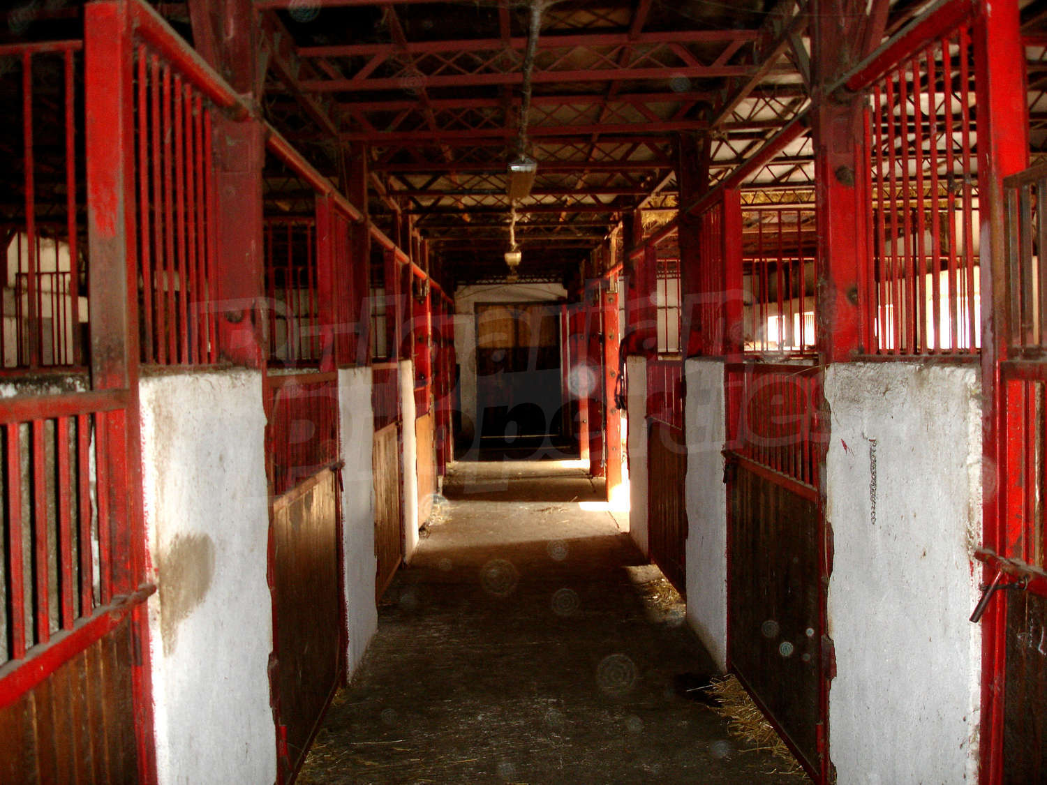 Gallery Picture 24