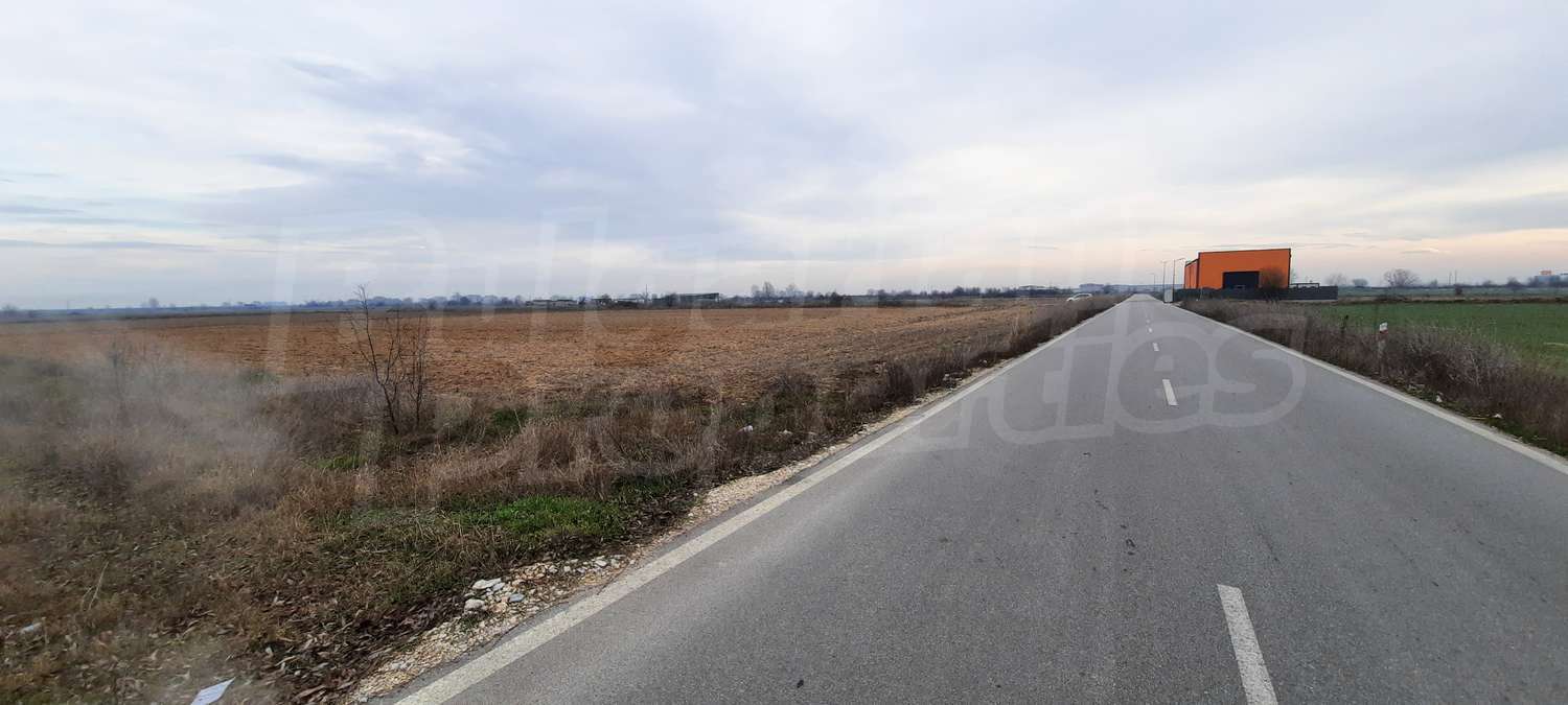 Gallery Picture 7