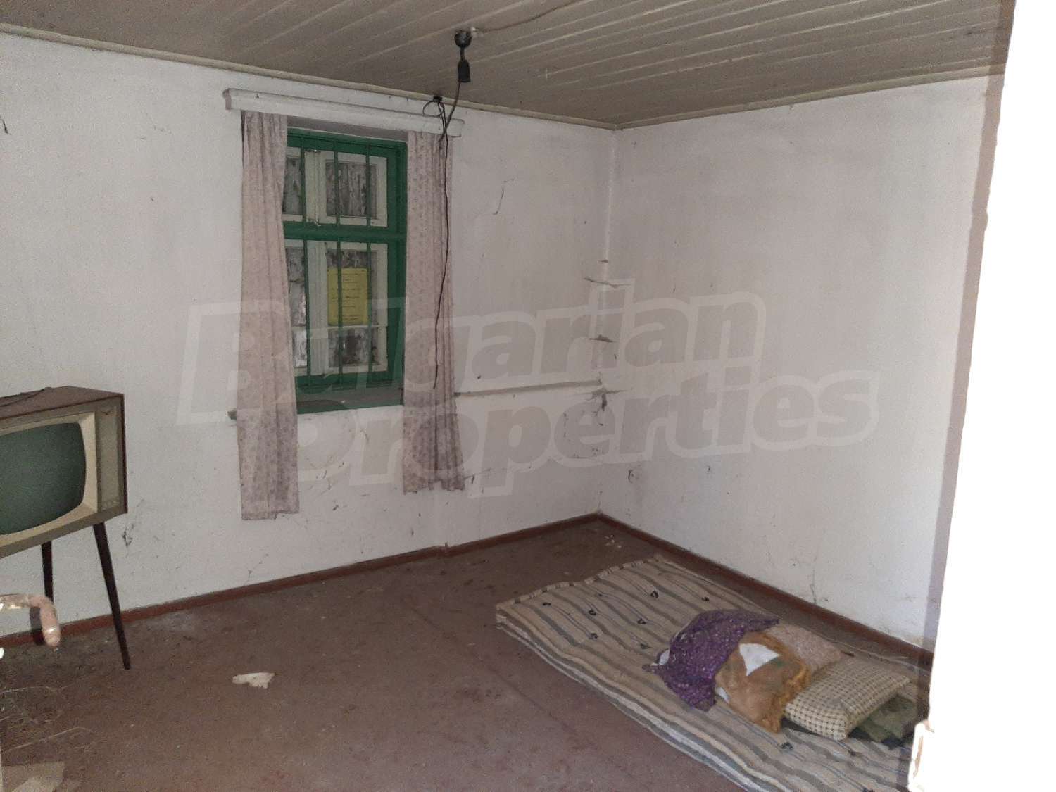 Gallery Picture 12