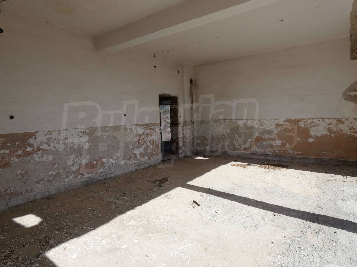 Gallery Picture 11