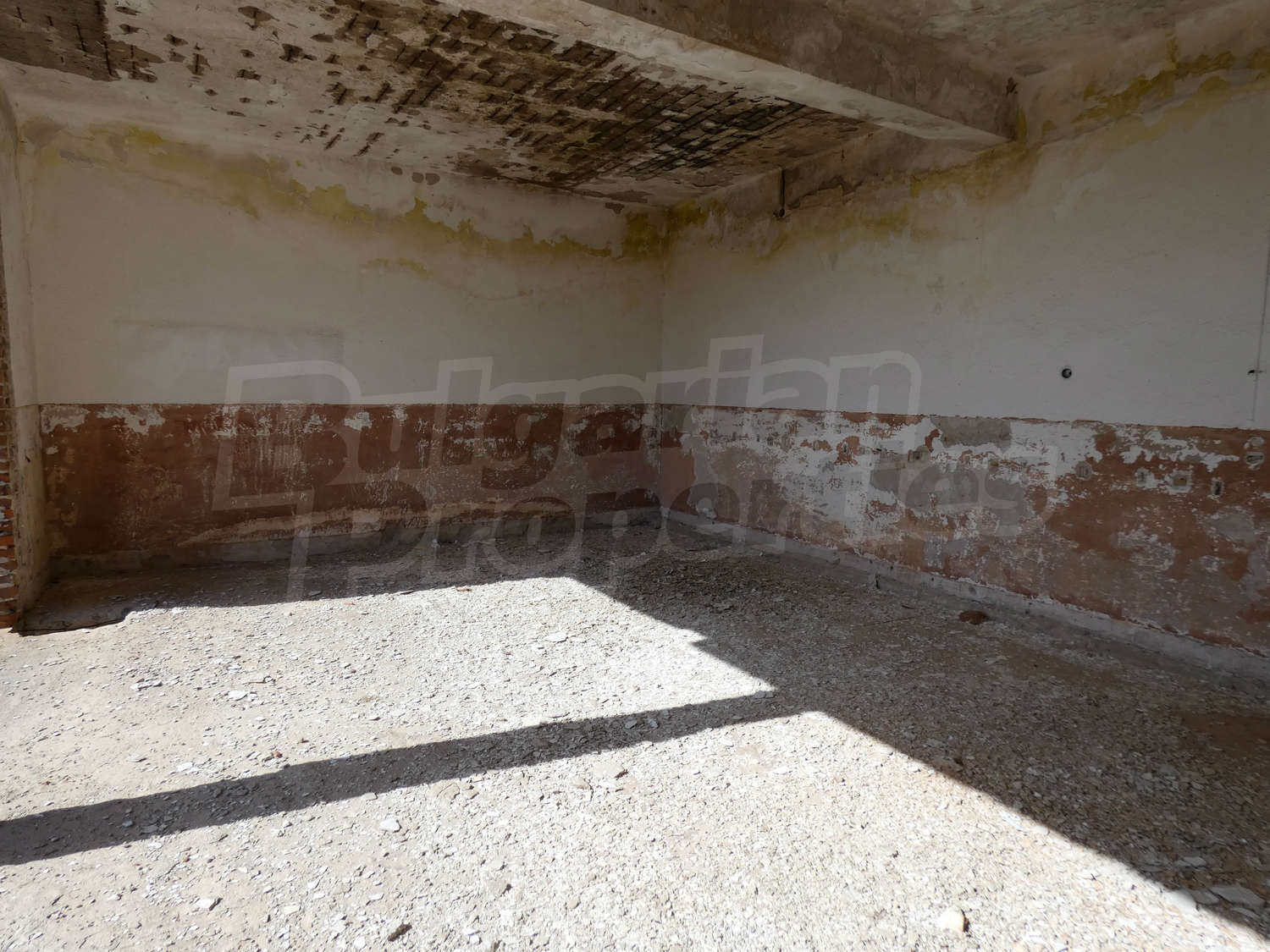 Gallery Picture 13
