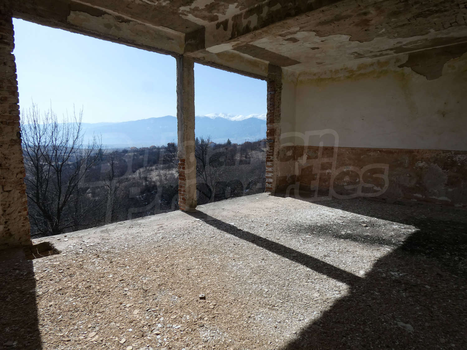 Gallery Picture 15
