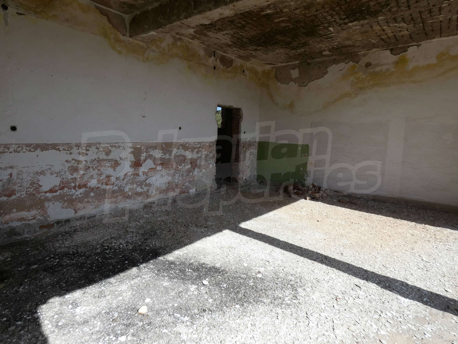 Gallery Picture 16