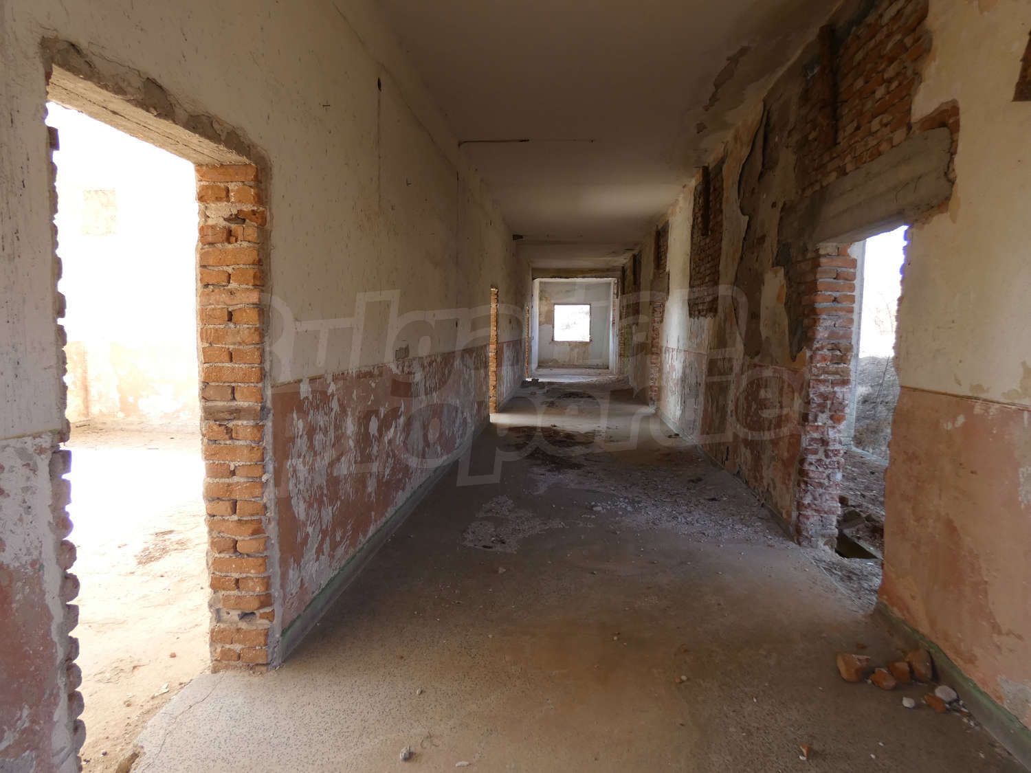 Gallery Picture 8