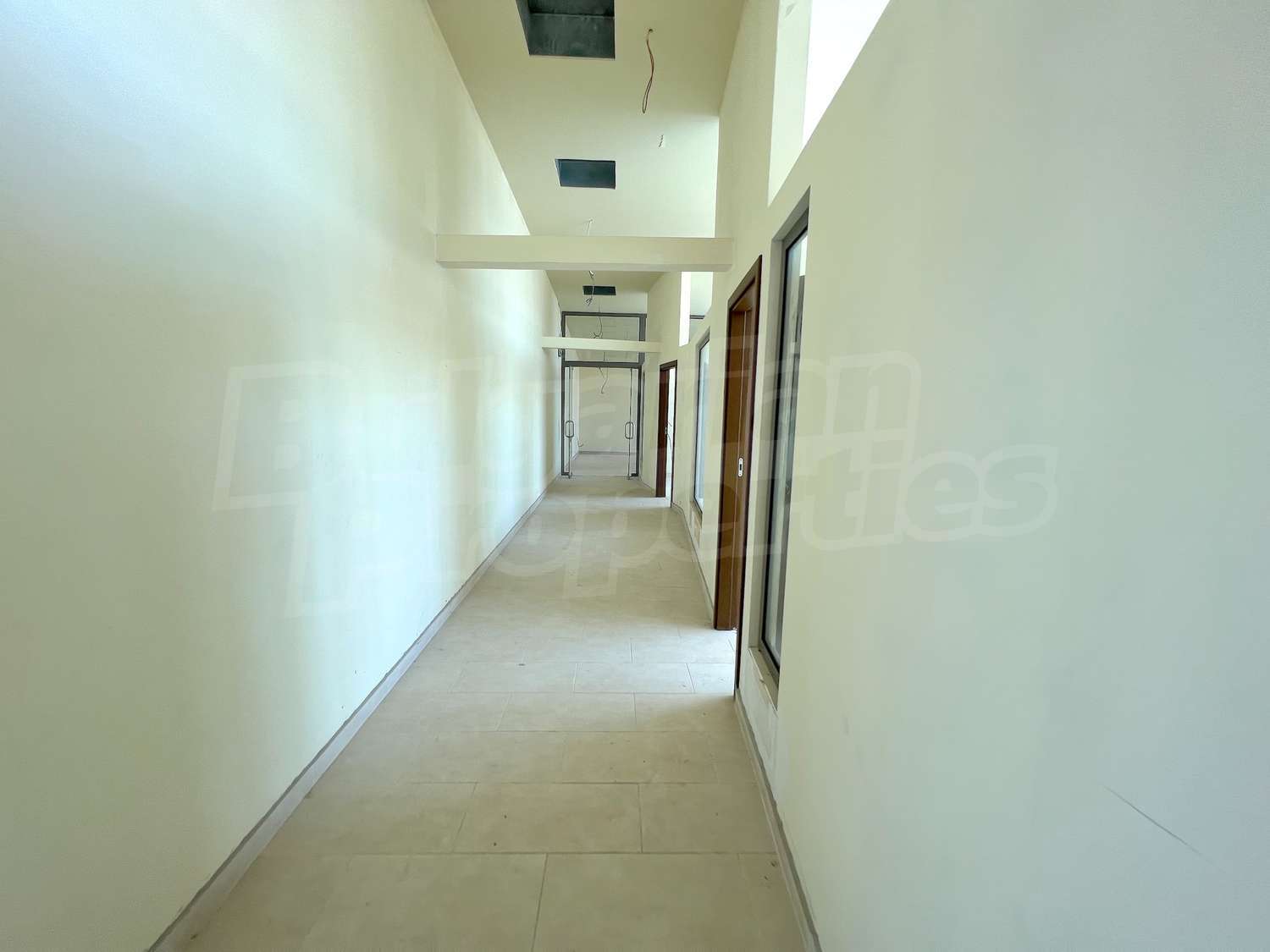 Gallery Picture 17