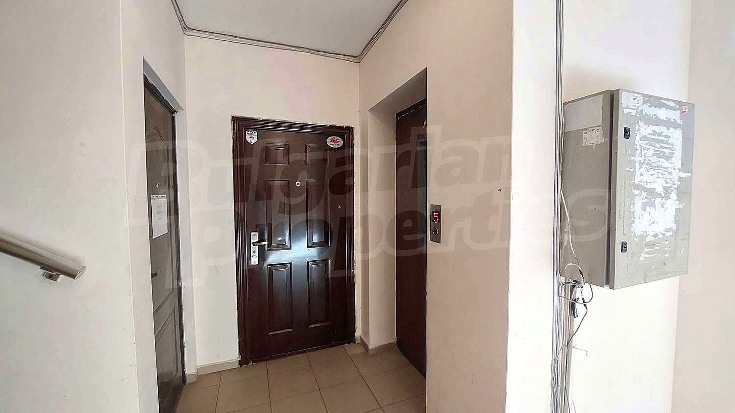 Gallery Picture 16