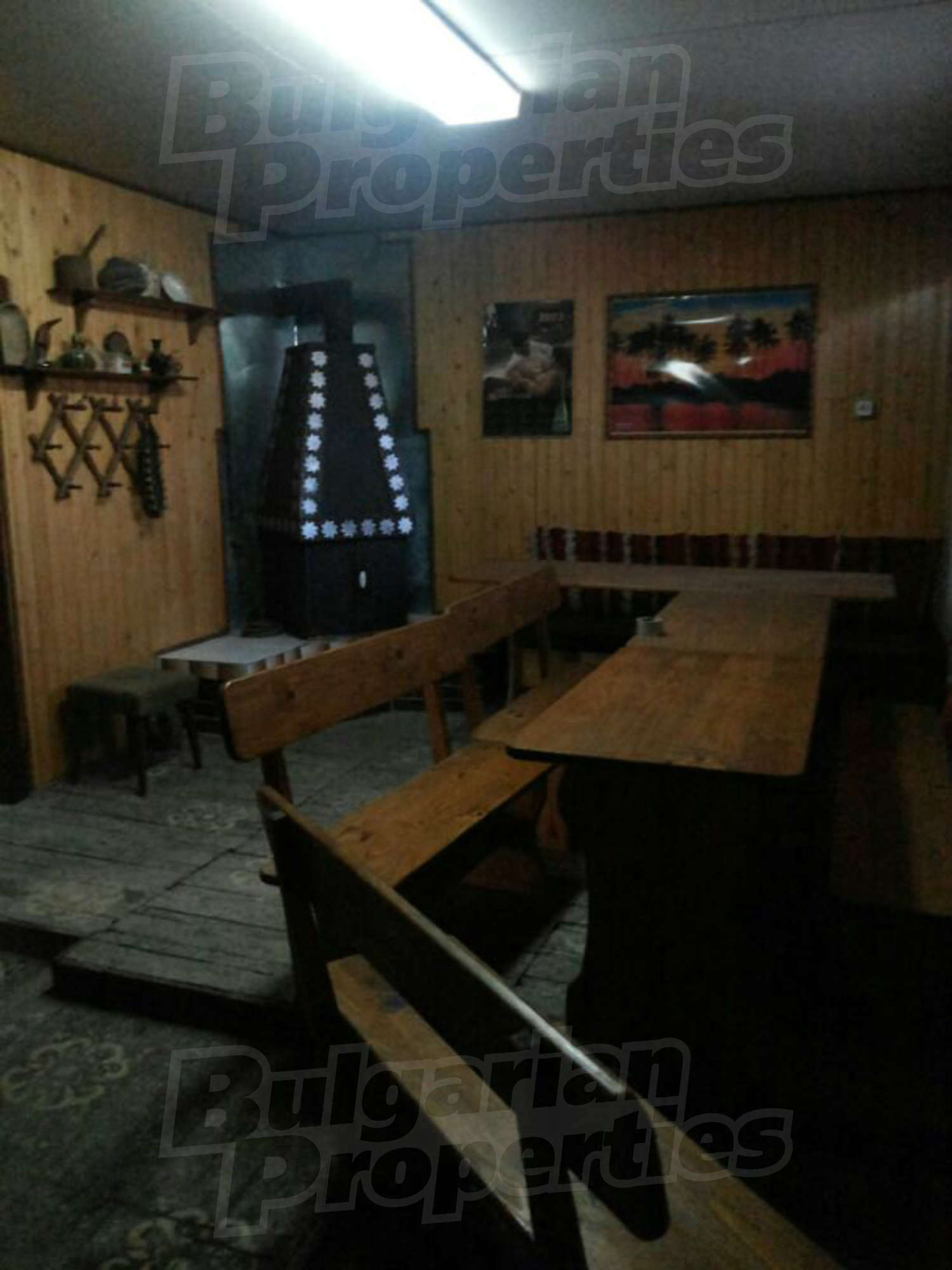 Gallery Picture 14