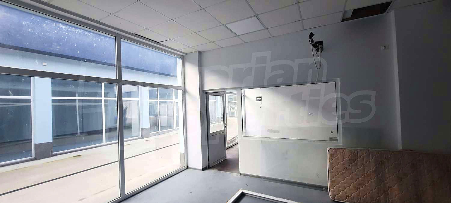Gallery Picture 14