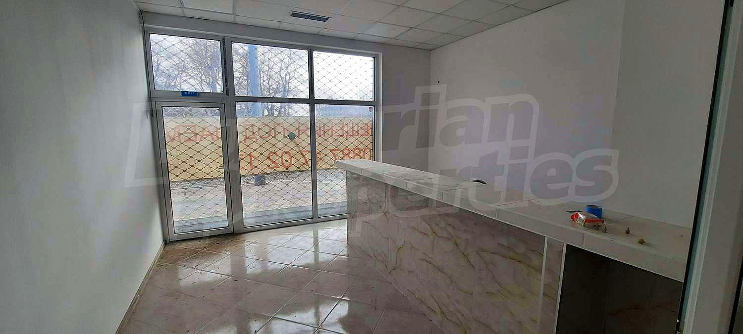 Gallery Picture 7