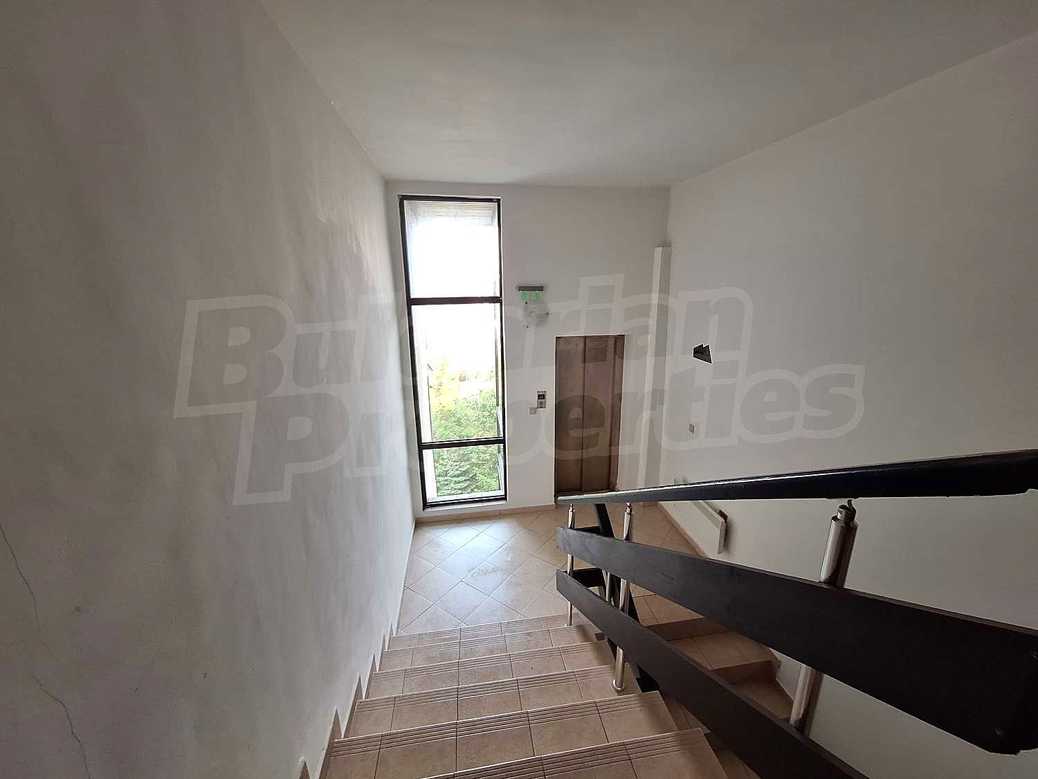 Gallery Picture 17