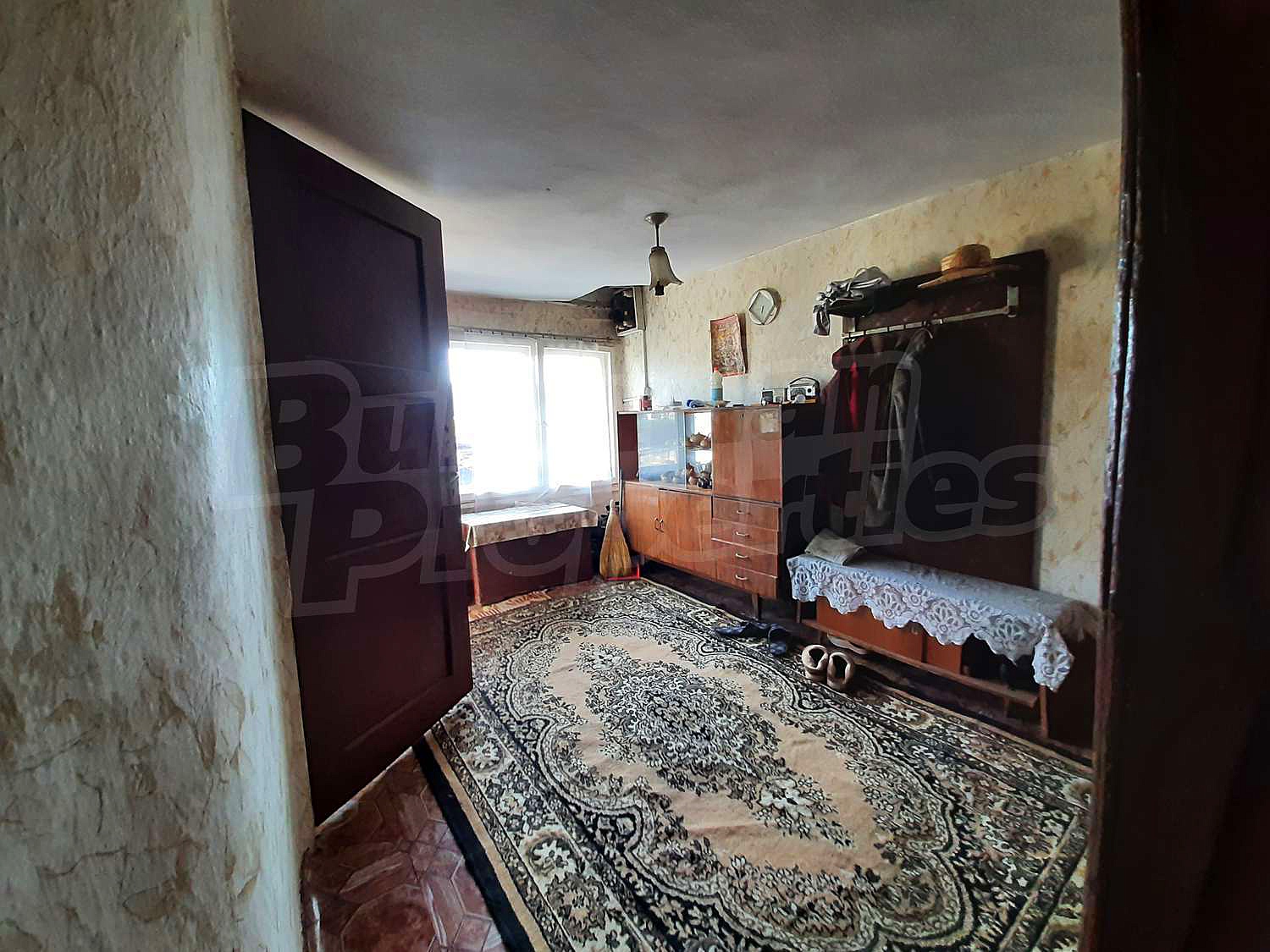 Gallery Picture 12