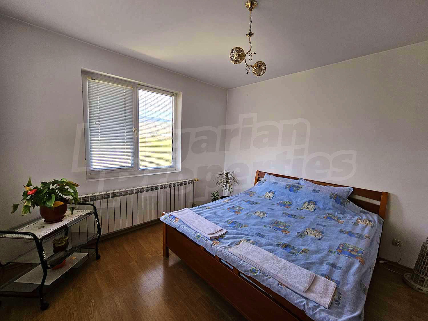 Gallery Picture 41