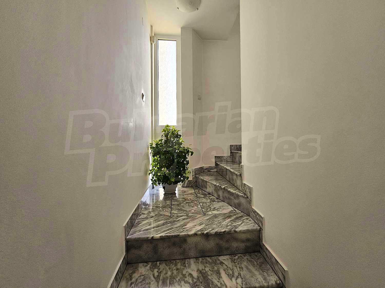 Gallery Picture 25