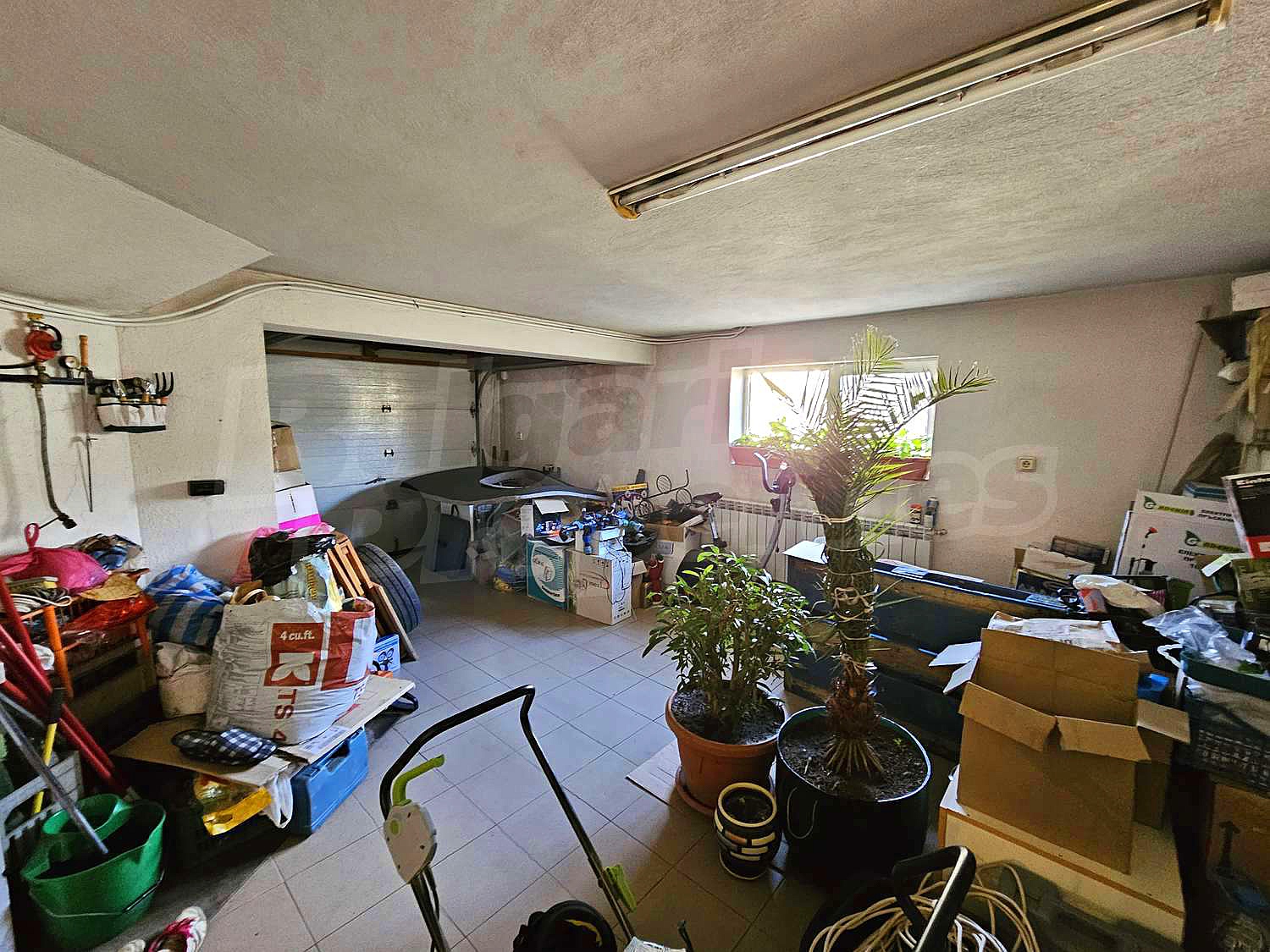 Gallery Picture 52
