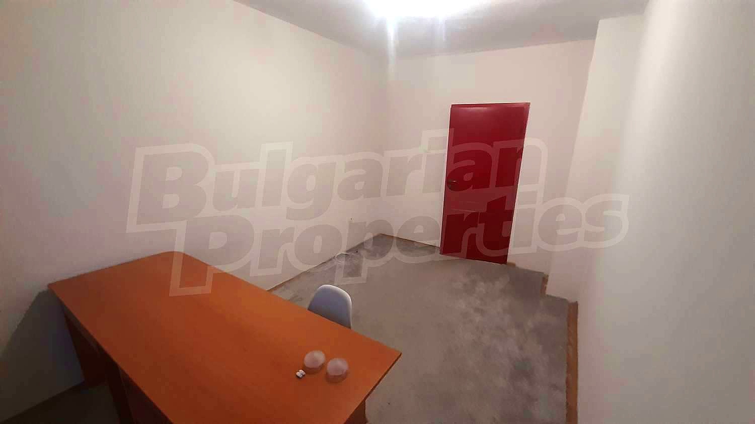 Gallery Picture 41