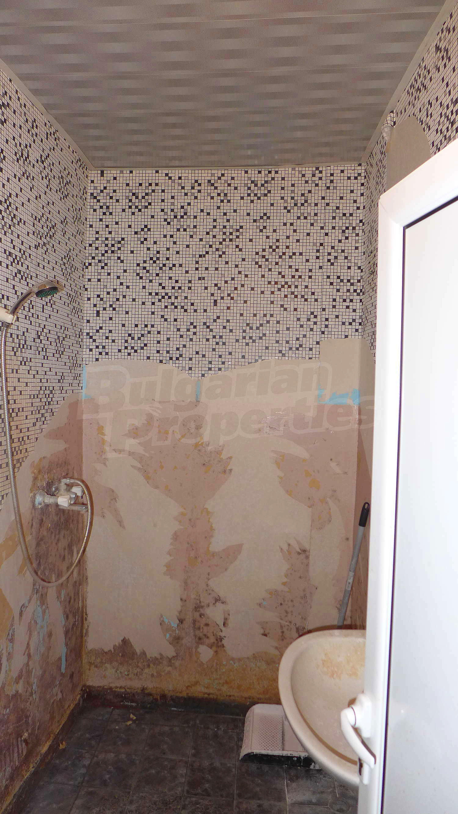 Gallery Picture 23