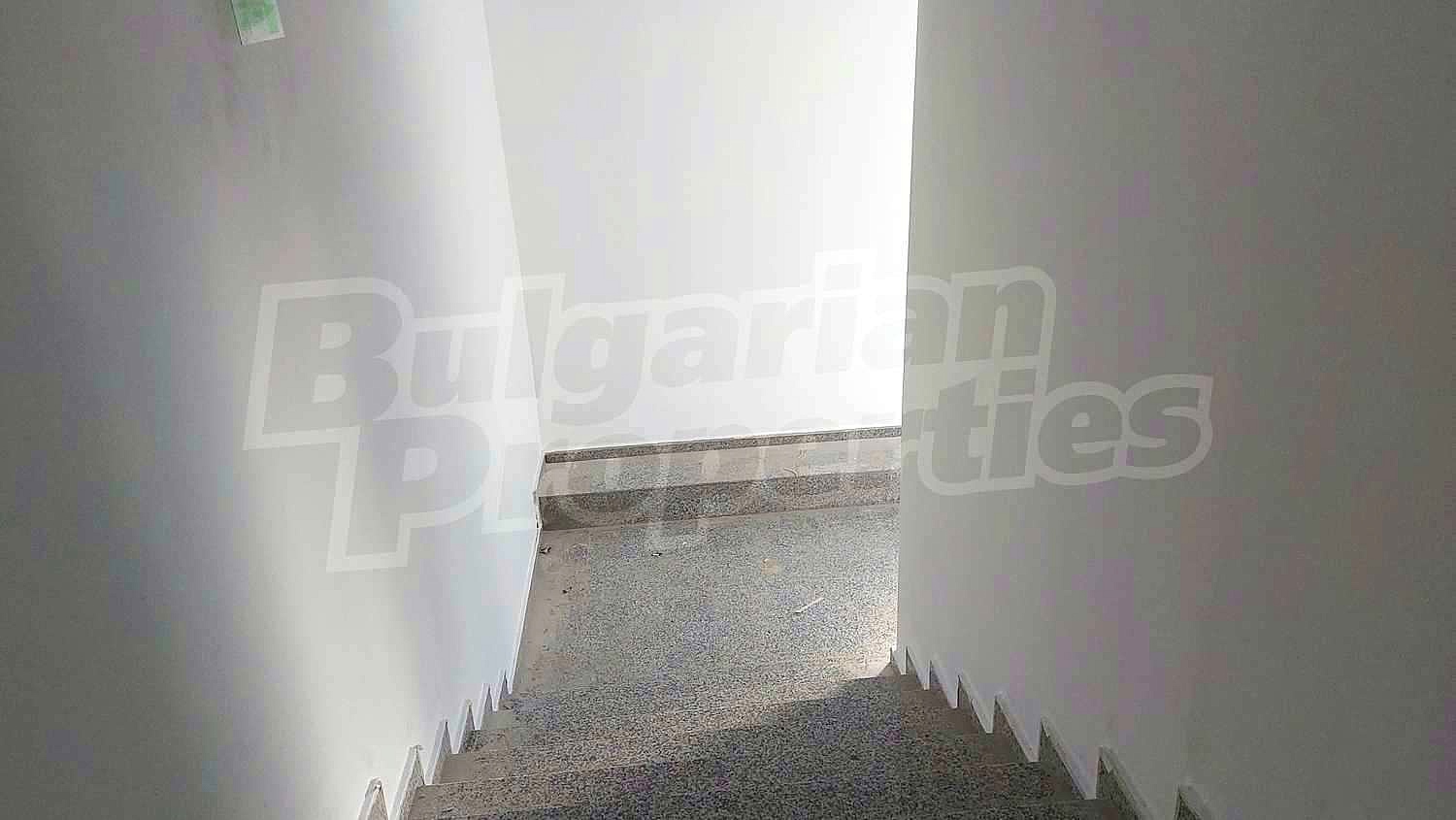 Gallery Picture 16